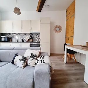 Le Bien-être * Wifi * Parking Gratuit à 150m Appartement Albi